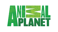 animal planet logo